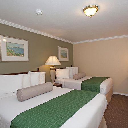Traveler'S Inn Williams, Ca Modern Renovated Hotel Camera foto